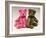 A Pink Schuco Scent Bottle Teddy Bearand a Green Schuco Compact Teddy Bear,-null-Framed Giclee Print