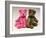 A Pink Schuco Scent Bottle Teddy Bearand a Green Schuco Compact Teddy Bear,-null-Framed Giclee Print