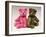 A Pink Schuco Scent Bottle Teddy Bearand a Green Schuco Compact Teddy Bear,-null-Framed Giclee Print