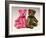 A Pink Schuco Scent Bottle Teddy Bearand a Green Schuco Compact Teddy Bear,-null-Framed Giclee Print