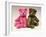 A Pink Schuco Scent Bottle Teddy Bearand a Green Schuco Compact Teddy Bear,-null-Framed Giclee Print