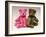 A Pink Schuco Scent Bottle Teddy Bearand a Green Schuco Compact Teddy Bear,-null-Framed Giclee Print