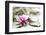 A Pink Water Lily Blossom-Petra Daisenberger-Framed Photographic Print