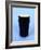 A Pint of Guinness-null-Framed Photographic Print