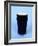 A Pint of Guinness-null-Framed Photographic Print