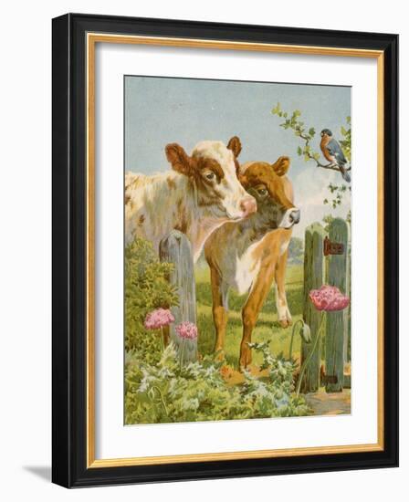 A Piping Bullfinch-English School-Framed Giclee Print