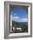 A Place for Tea, Funchal, Madeira, Portugal, Atlantic Ocean, Europe-James Emmerson-Framed Photographic Print