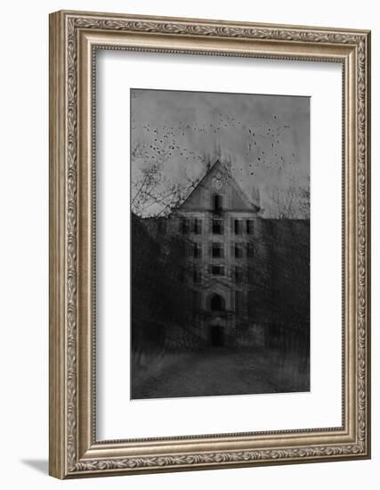 A Place for the Insane Mind-Maria J Campos-Framed Photographic Print