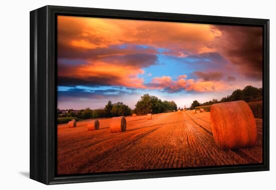 A Place in the Sky-Philippe Sainte-Laudy-Framed Premier Image Canvas