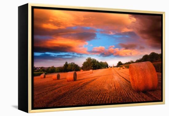 A Place in the Sky-Philippe Sainte-Laudy-Framed Premier Image Canvas