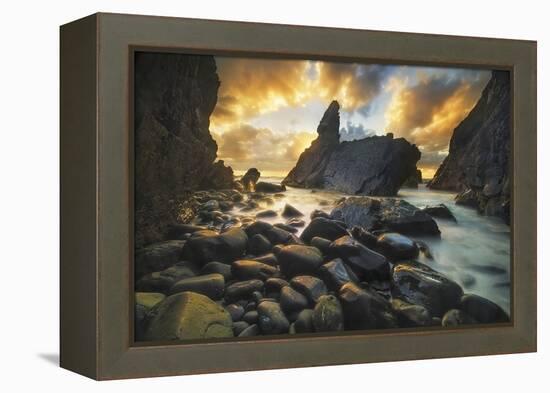 A Place of Solitude-Yan Zhang-Framed Premier Image Canvas