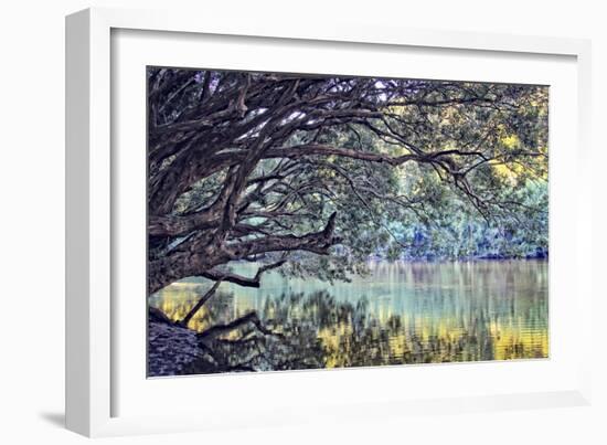 A Place to Dream-Incredi-Framed Photographic Print