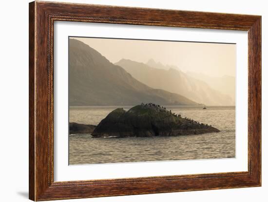 A Place to Rest-Andreas Stridsberg-Framed Giclee Print