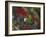 A Plain Parakeet, Brotogeris Tirica, Resting and Eating on a Coral Tree-Alex Saberi-Framed Photographic Print