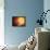 A Planet and its Moon Resisting the Relentless Heat of the Giant Orange Sun Pollux-Stocktrek Images-Framed Premier Image Canvas displayed on a wall