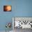 A Planet and its Moon Resisting the Relentless Heat of the Giant Orange Sun Pollux-Stocktrek Images-Mounted Photographic Print displayed on a wall