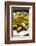 A Plate of Mussels and Olives at a Traditional Tapas Bar in Madrid, Spain, Europe-Martin Child-Framed Photographic Print