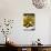 A Plate of Mussels and Olives at a Traditional Tapas Bar in Madrid, Spain, Europe-Martin Child-Photographic Print displayed on a wall