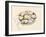 A Plate of Oysters, 2012-Alison Cooper-Framed Giclee Print
