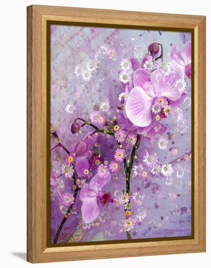 A Playful Floral Montage of Pink Orchid with Daisies-Alaya Gadeh-Framed Premier Image Canvas