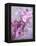 A Playful Floral Montage of Pink Orchid with Daisies-Alaya Gadeh-Framed Premier Image Canvas