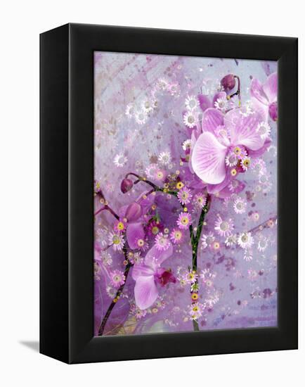 A Playful Floral Montage of Pink Orchid with Daisies-Alaya Gadeh-Framed Premier Image Canvas