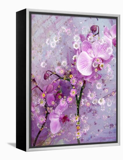 A Playful Floral Montage of Pink Orchid with Daisies-Alaya Gadeh-Framed Premier Image Canvas