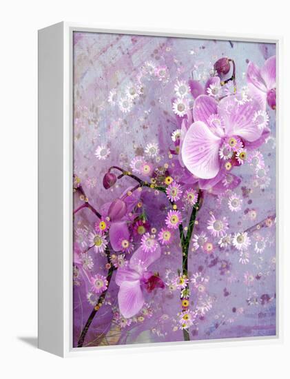 A Playful Floral Montage of Pink Orchid with Daisies-Alaya Gadeh-Framed Premier Image Canvas