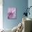 A Playful Floral Montage of Pink Orchid with Daisies-Alaya Gadeh-Photographic Print displayed on a wall