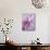 A Playful Floral Montage of Pink Orchid with Daisies-Alaya Gadeh-Photographic Print displayed on a wall