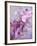 A Playful Floral Montage of Pink Orchid with Daisies-Alaya Gadeh-Framed Photographic Print