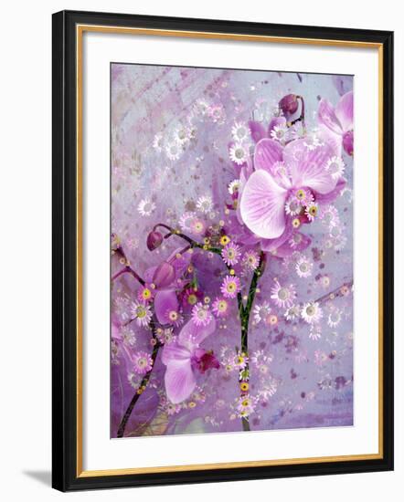 A Playful Floral Montage of Pink Orchid with Daisies-Alaya Gadeh-Framed Photographic Print