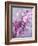 A Playful Floral Montage of Pink Orchid with Daisies-Alaya Gadeh-Framed Photographic Print
