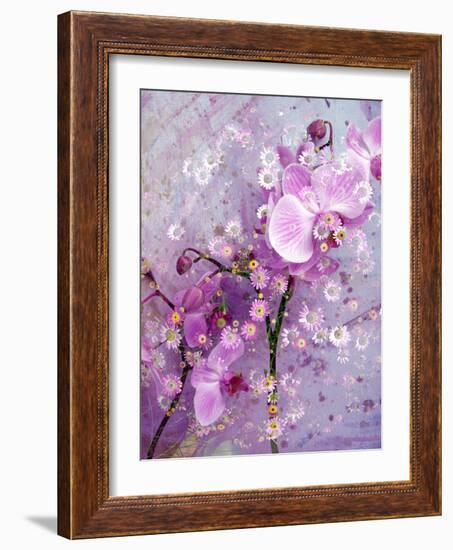 A Playful Floral Montage of Pink Orchid with Daisies-Alaya Gadeh-Framed Photographic Print