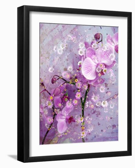 A Playful Floral Montage of Pink Orchid with Daisies-Alaya Gadeh-Framed Photographic Print