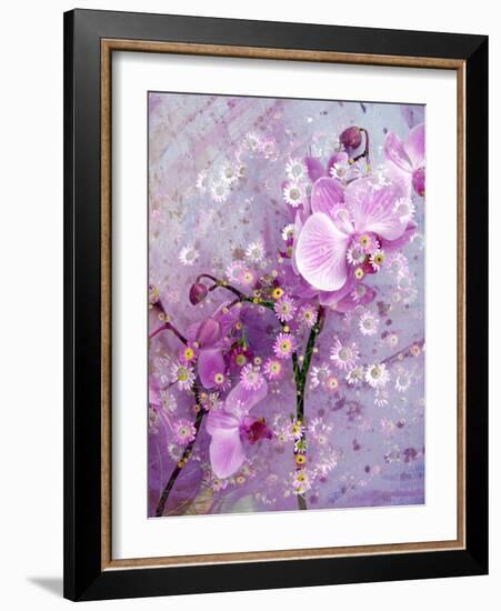 A Playful Floral Montage of Pink Orchid with Daisies-Alaya Gadeh-Framed Photographic Print