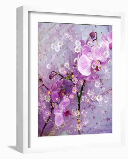 A Playful Floral Montage of Pink Orchid with Daisies-Alaya Gadeh-Framed Photographic Print