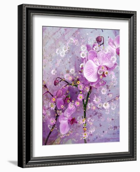 A Playful Floral Montage of Pink Orchid with Daisies-Alaya Gadeh-Framed Photographic Print