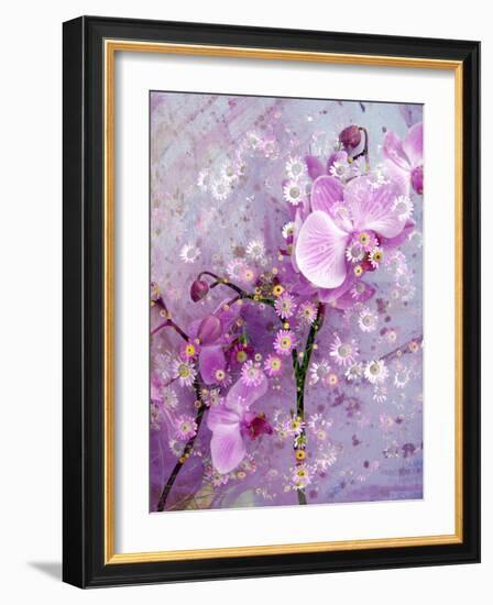 A Playful Floral Montage of Pink Orchid with Daisies-Alaya Gadeh-Framed Photographic Print