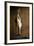 A Plucked Capon, Hung Up-Ulrike Schmid-Framed Photographic Print