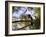 A Plush Crested Jay on a Tree in Bonito, Brazil-Alex Saberi-Framed Photographic Print