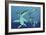 A Pod of Eurhinosaurus Marine Reptiles Try to Evade the Much Larger Liopleurodon-Stocktrek Images-Framed Art Print