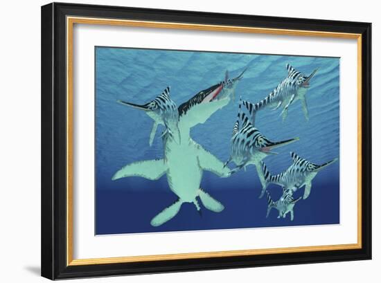 A Pod of Eurhinosaurus Marine Reptiles Try to Evade the Much Larger Liopleurodon-Stocktrek Images-Framed Art Print