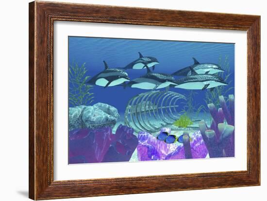 A Pod of Striped Dolphins Swim over an Old Boat Wreck-null-Framed Art Print