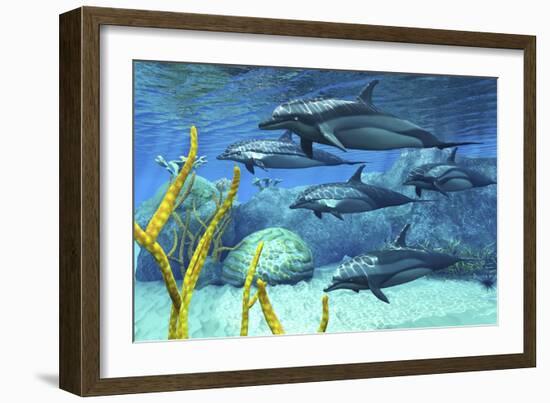 A Pod of Striped Dolphins Swimming Along a Reef-null-Framed Art Print