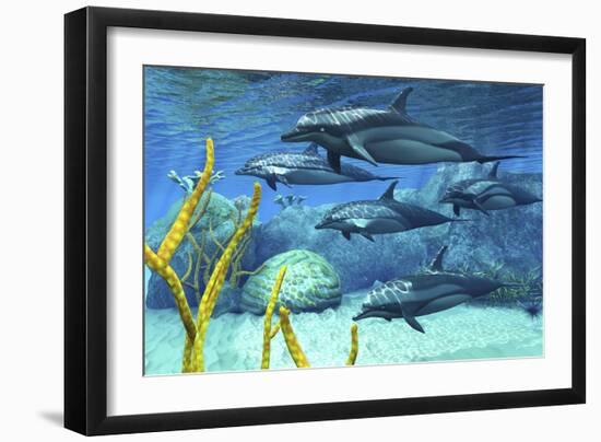 A Pod of Striped Dolphins Swimming Along a Reef-null-Framed Art Print