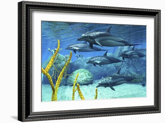 A Pod of Striped Dolphins Swimming Along a Reef-null-Framed Art Print