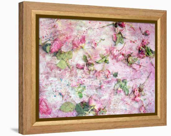 A Poetic Floral Montage from Pink Roses on Painted Texture-Alaya Gadeh-Framed Premier Image Canvas