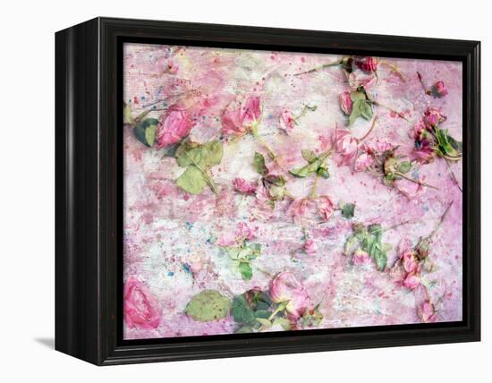 A Poetic Floral Montage from Pink Roses on Painted Texture-Alaya Gadeh-Framed Premier Image Canvas