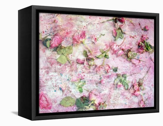 A Poetic Floral Montage from Pink Roses on Painted Texture-Alaya Gadeh-Framed Premier Image Canvas